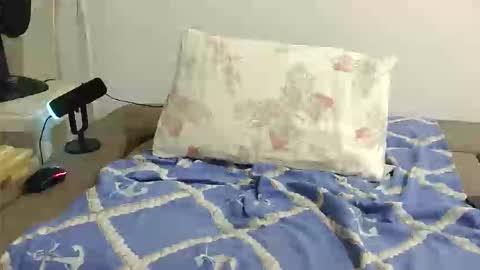 Snapshot of mdbisc chatting on 01.07.26 mdbisc online show from 01.07.26