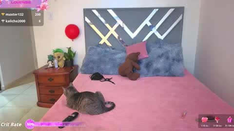 sofi online show from 11.11.25