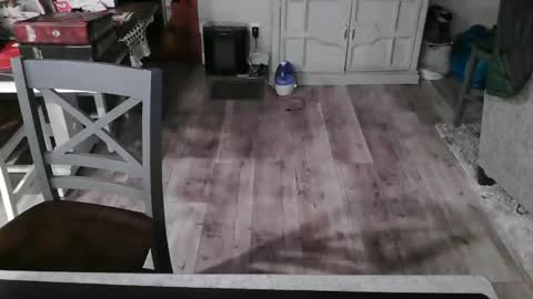 Snapshot of meganfitzy chatting on 02.26.25 GlamTransGoddess online show from 02.26.25