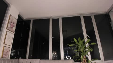 Snapshot of megann__sweet chatting on 01.31.25 Mara online show from 01.31.25