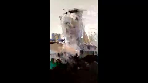 Snapshot of melissaknowles46 chatting on 02.01.26 melissaknowles46 online show from 02.01.26