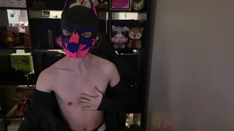 MellPUP online show from 03.30.26