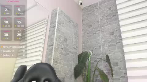     online show from 06.07.26