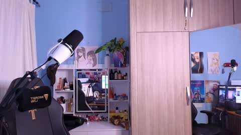 Snapshot of memikouki chatting on 01.27.25 Megumi Aina online show from 01.27.25