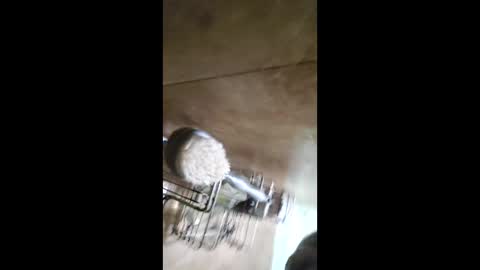 men_seeker online show from 02.12.26