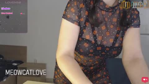 meowcatlove online show from 12.06.24