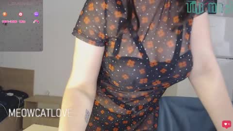 meowcatlove online show from 12.24.24