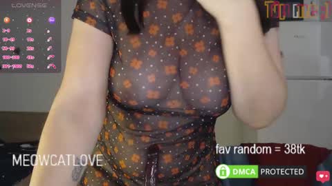 meowcatlove online show from 01.21.25