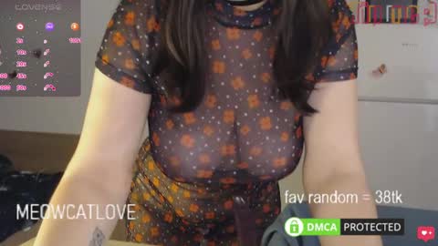 meowcatlove online show from 01.23.25