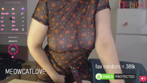 meowcatlove online show from 01.25.25