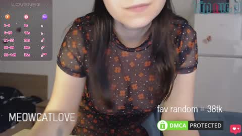 meowcatlove online show from 01.26.25