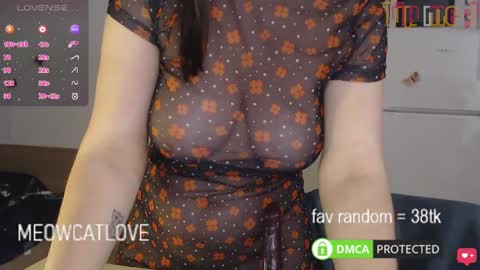 meowcatlove online show from 01.26.25