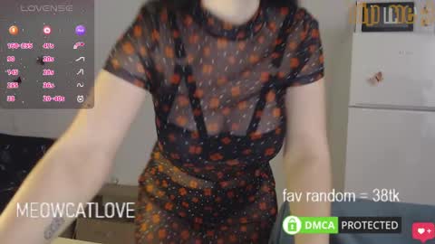 meowcatlove online show from 01.29.25