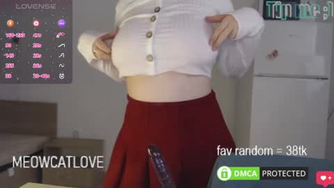 meowcatlove online show from 02.21.25