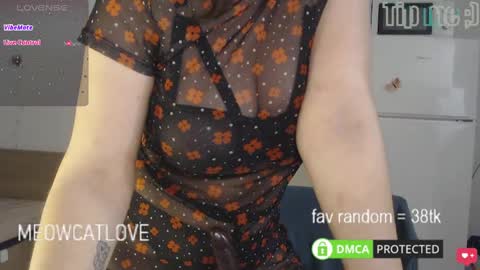 meowcatlove online show from 03.04.25