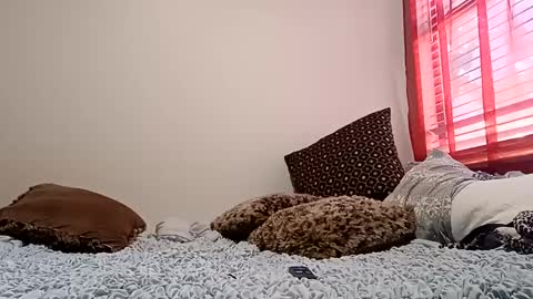 meowzers777 online show from 12.15.24