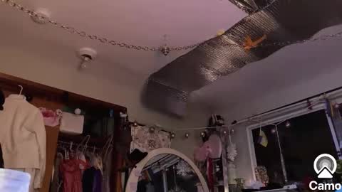 Snapshot of merelyalover chatting on 01.30.25 gurlnips online show from 01.30.25