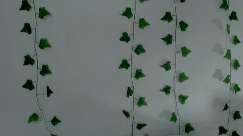 MIA online show from 04.11.26