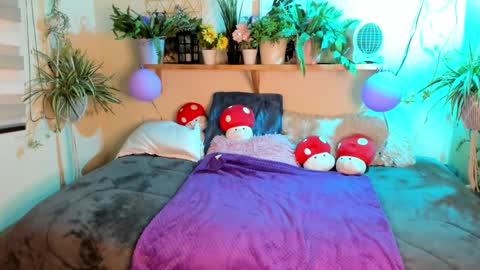 Miaa online show from 03.10.26