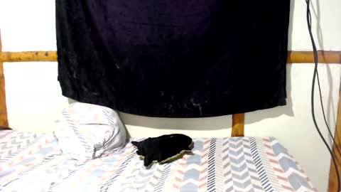 Mia  Sam online show from 12.16.25