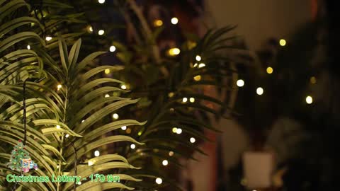 ask online show from 12.27.24