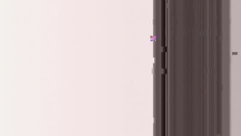 miamifit online show from 03.19.26