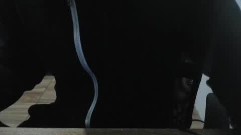 Snapshot of miamorr_ chatting on 02.03.26 miamorr_ online show from 02.03.26