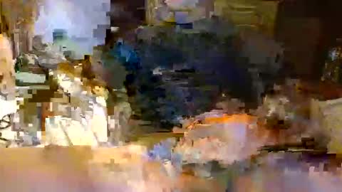 michiganstud28 online show from 04.22.26