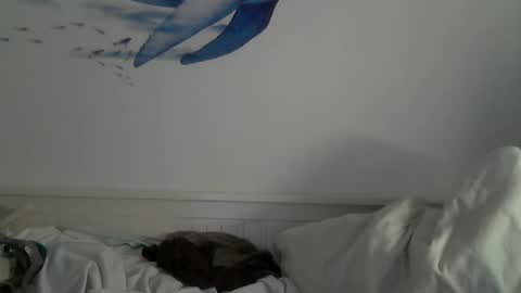 Snapshot of midhir chatting on 01.31.25 kike online show from 01.31.25