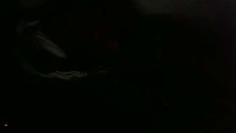 midnightasiko online show from 05.15.26