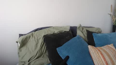 MidsummerNightsDream online show from 01.05.26