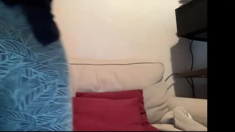 MIke online show from 05.22.26