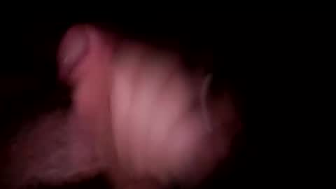 Snapshot of mikemalas1000 chatting on 01.25.25 mikemalas1000 online show from 01.25.25