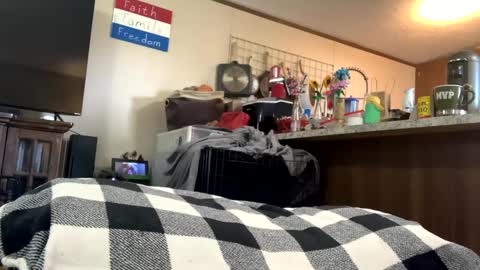 Snapshot of mikeylikesit2222 chatting on 09.25.25 mikeylikesit2222 online show from 09.25.25