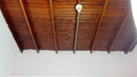 Snapshot of milarose4 chatting on 01.15.25 Mila Rose online show from 01.15.25