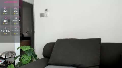 Snapshot of minimaia chatting on 01.11.25 Maya online show from 01.11.25