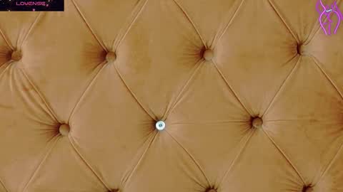 Snapshot of mira_lynxx chatting on 11.25.25 mira_lynxx online show from 11.25.25