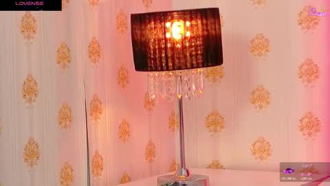 Snapshot of mira_lynxx chatting on 01.14.26 mira_lynxx online show from 01.14.26