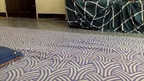 mireill_sex online show from 06.07.26