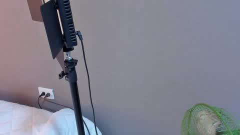 daniela online show from 10.27.25