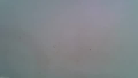 miss_rihanna2 online show from 02.04.26