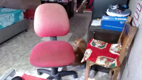 Snapshot of missgomezz_ chatting on 05.26.26 Maria Gomezz online show from 05.26.26