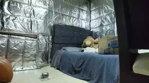 Snapshot of missstres_scarleth chatting on 11.24.25 SCARLETH online show from 11.24.25