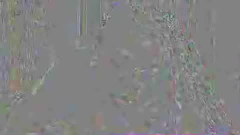 Snapshot of mistressmystii chatting on 07.03.26 Mistress Mystii online show from 07.03.26