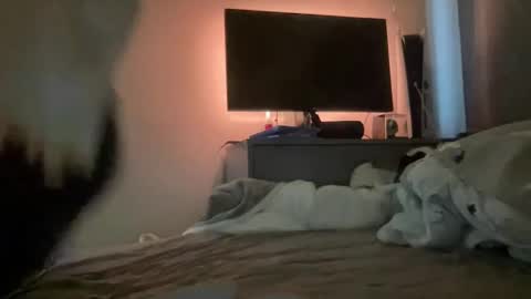 Snapshot of mitchellw7752 chatting on 12.31.24 mitchellw7752 online show from 12.31.24