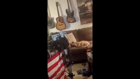 BobbyMitchGa online show from 04.29.26
