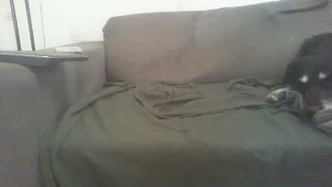 Snapshot of mixandflair chatting on 12.22.24 mixandflair online show from 12.22.24