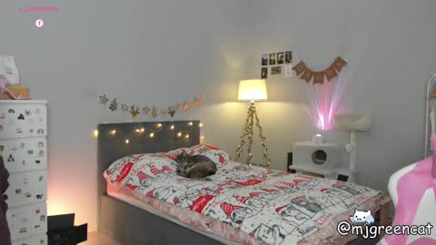 Snapshot of mjgreencat chatting on 12.13.24 mj online show from 12.13.24