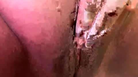 mmmtara online show from 11.30.25