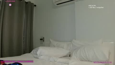 Mocha  BDAY JAN 13  online show from 01.21.25